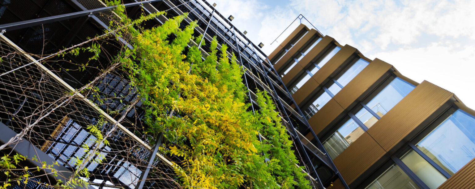 Homepage - The Green Infrastructure Consultancy